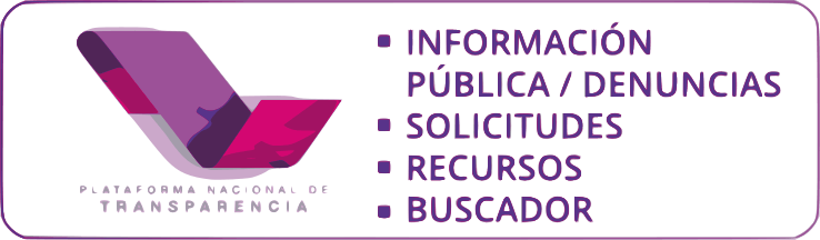 Plataforma nacional de Transparencia